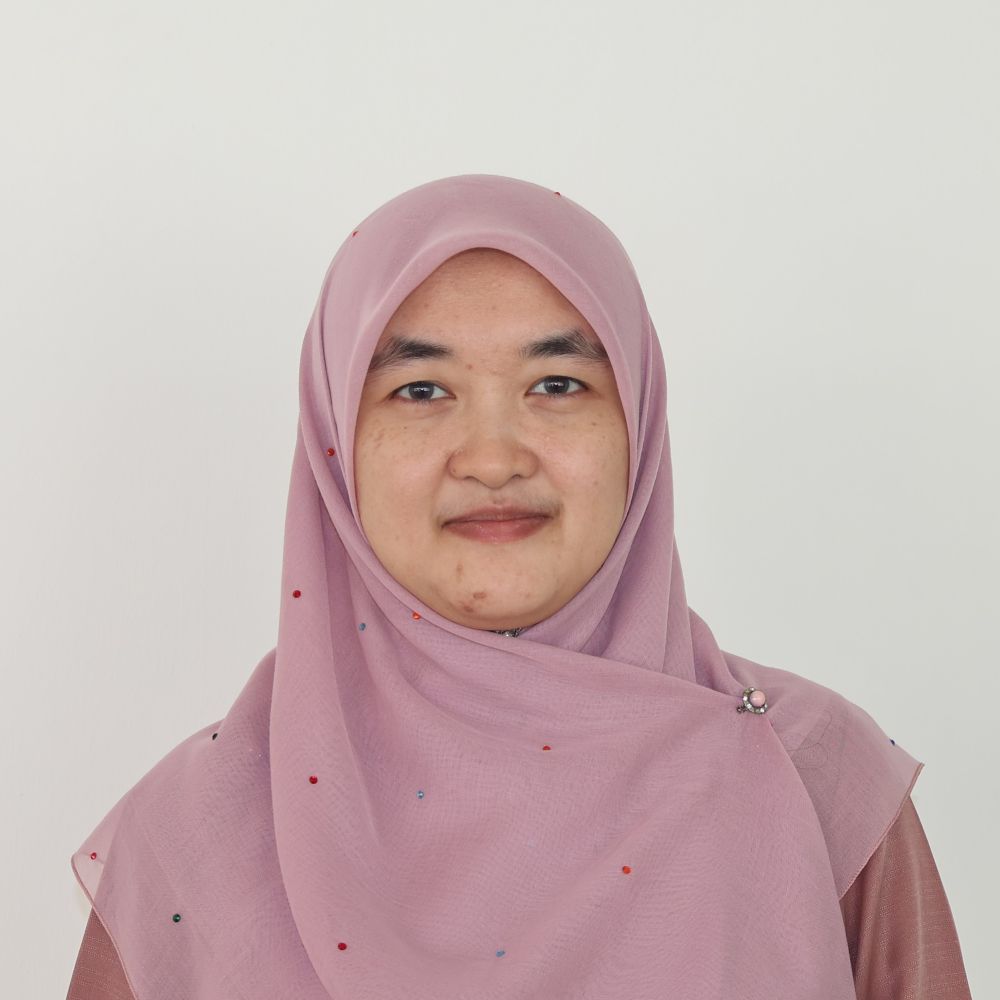 Team Lead Dev